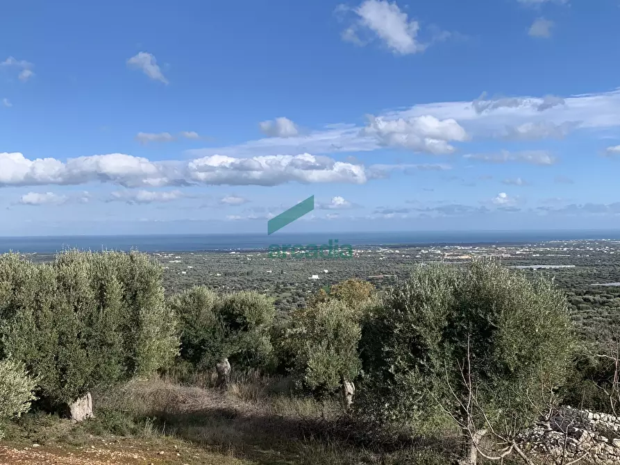 Immagine 12 di Rustico / casale in vendita  in Contrada Torchiano a Monopoli