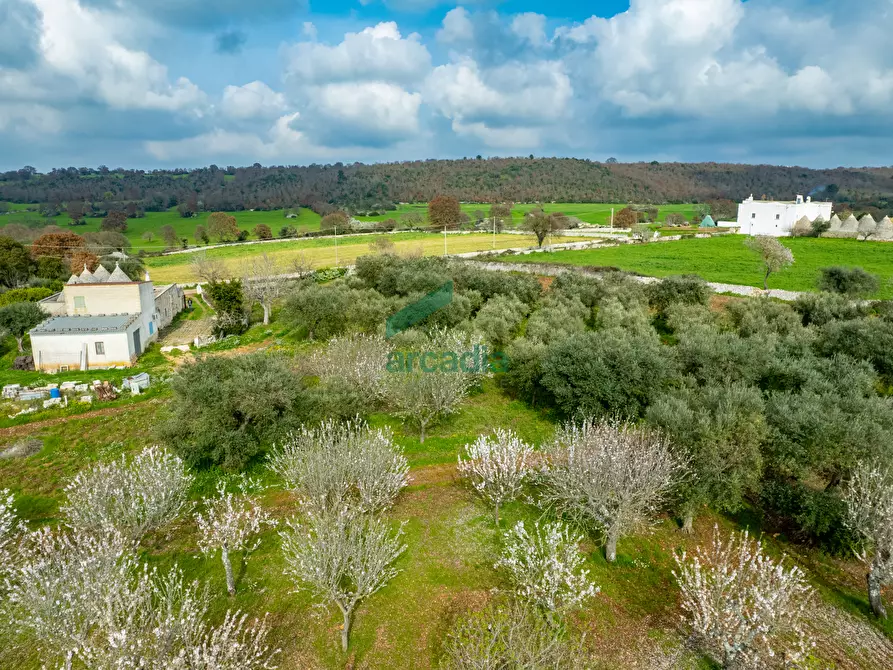 Immagine 7 di Rustico / casale in vendita  in Contrada Terranova a Monopoli