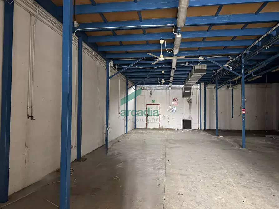 Immagine 4 di Attività artigianale in affitto  in SP231 KM 3,800 a Bitonto