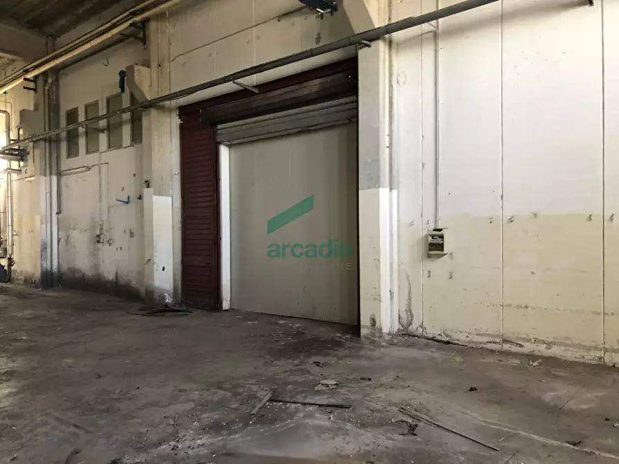 Immagine 7 di Attività artigianale in affitto  in SP231 a Bitonto
