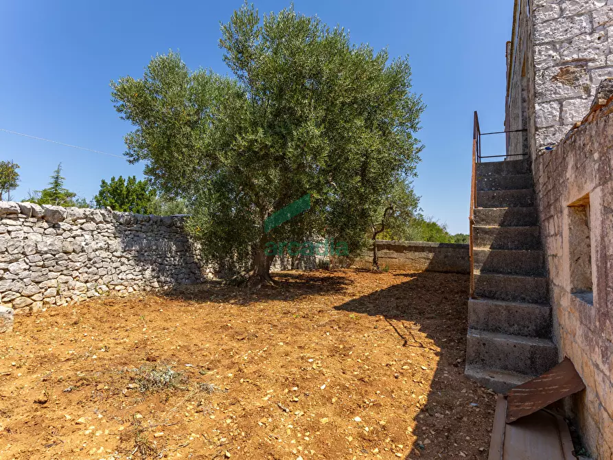 Immagine 40 di Rustico / casale in vendita  in SP32 68 a Putignano