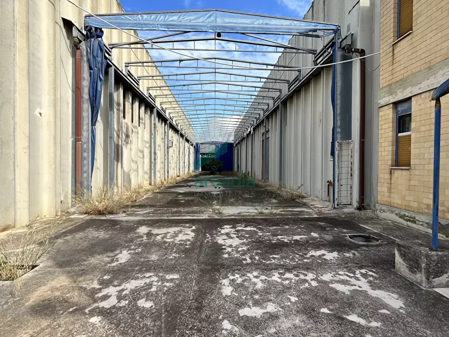 Immagine 13 di Attività artigianale in affitto  in SP231 KM 3,800 a Bitonto