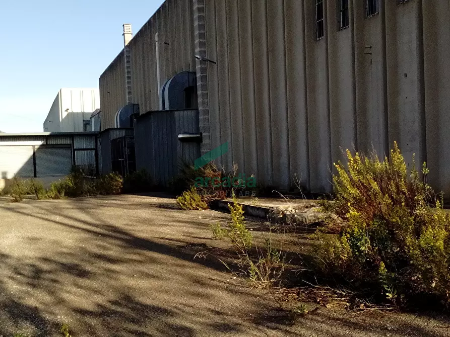 Immagine 26 di Attività artigianale in affitto  in SP231 KM 3,800 a Modugno