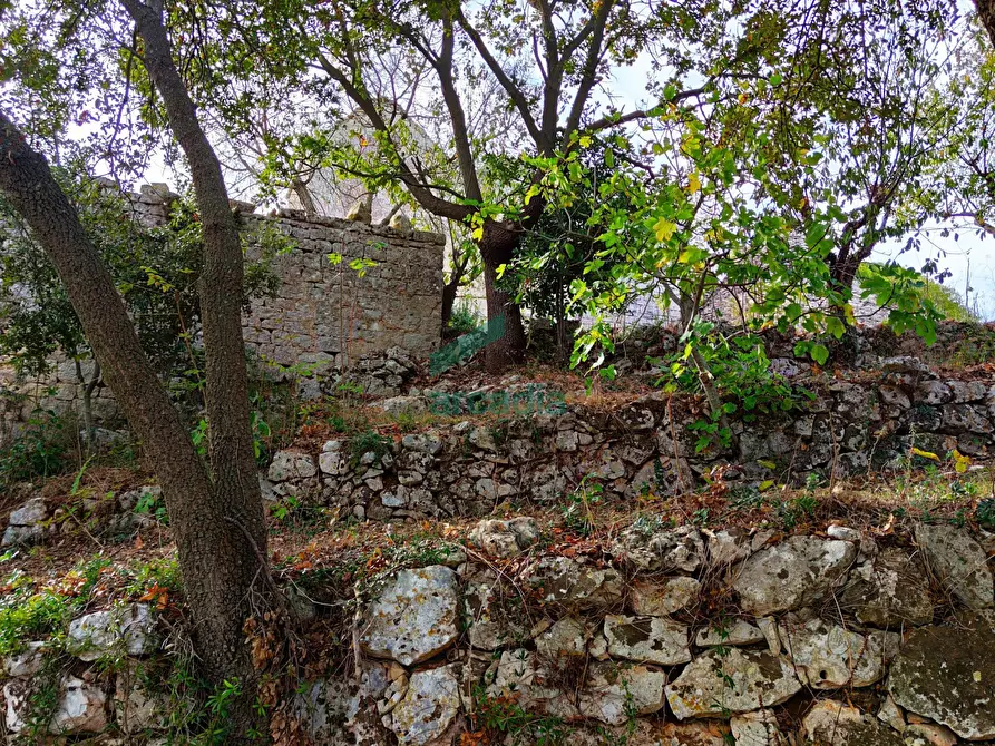 Immagine 26 di Rustico / casale in vendita  in Via Bosco Selva 24 a Alberobello