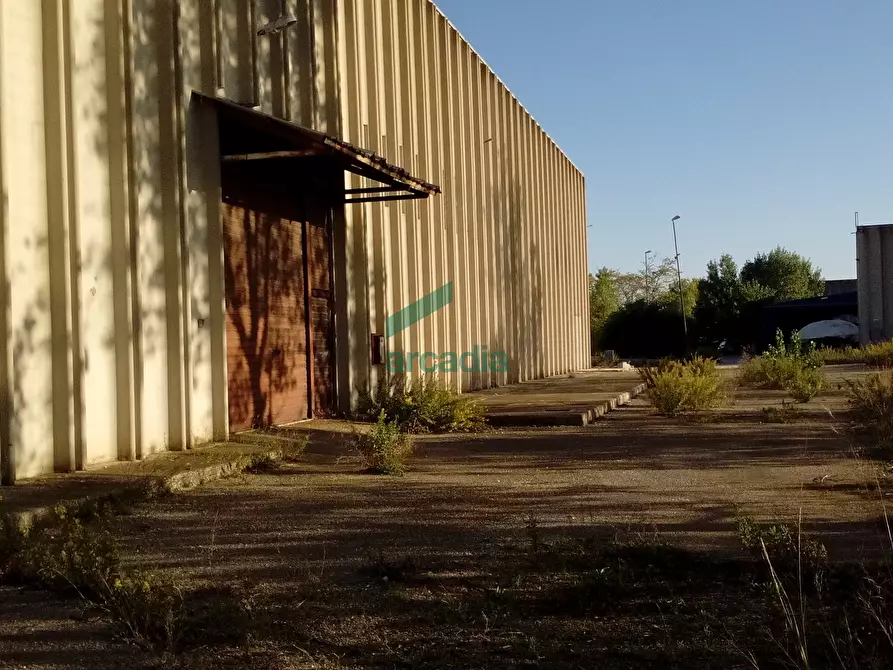 Immagine 23 di Attività artigianale in affitto  in SP231 KM 3,800 a Modugno