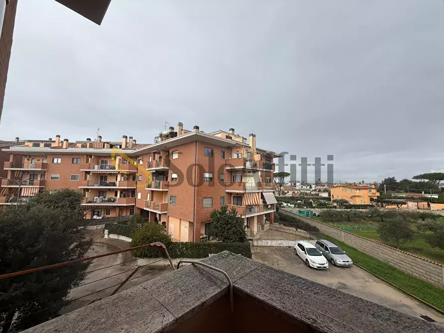 Immagine 10 di Bilocale in affitto  in via dante canducci a Nettuno