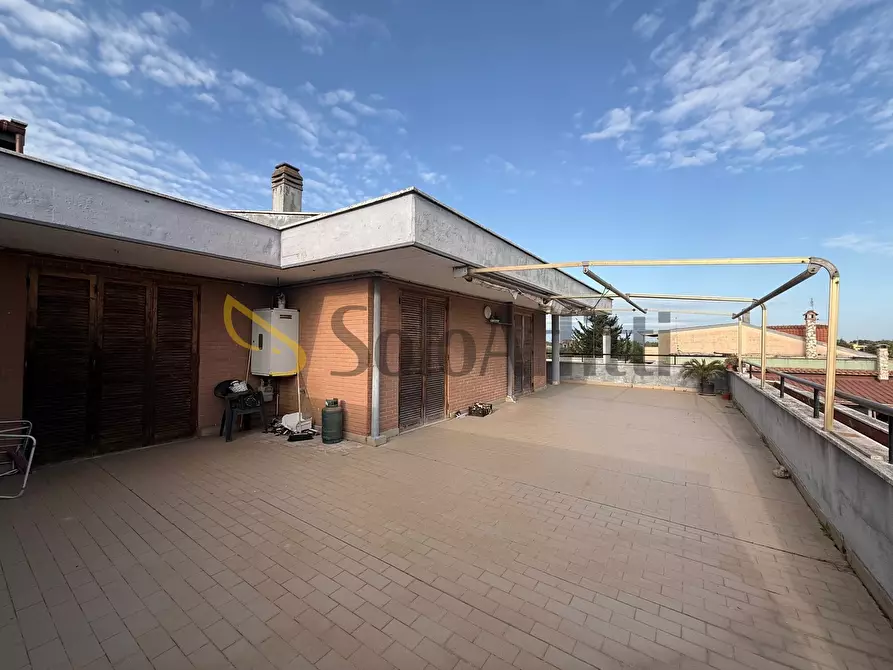 Immagine 14 di Trilocale in affitto  in Via della Fonderia a Anzio