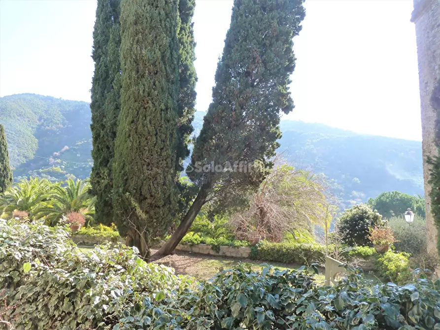 Immagine 21 di Trilocale in affitto  in Piazza Dante Alighieri 4 a Bordighera