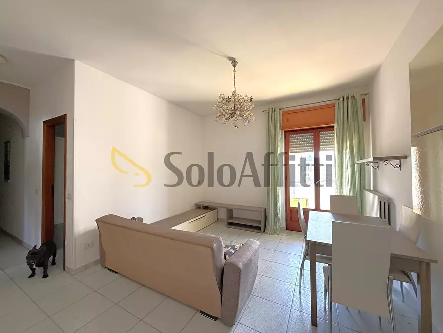 Immagine 5 di Bilocale in affitto  a Catanzaro