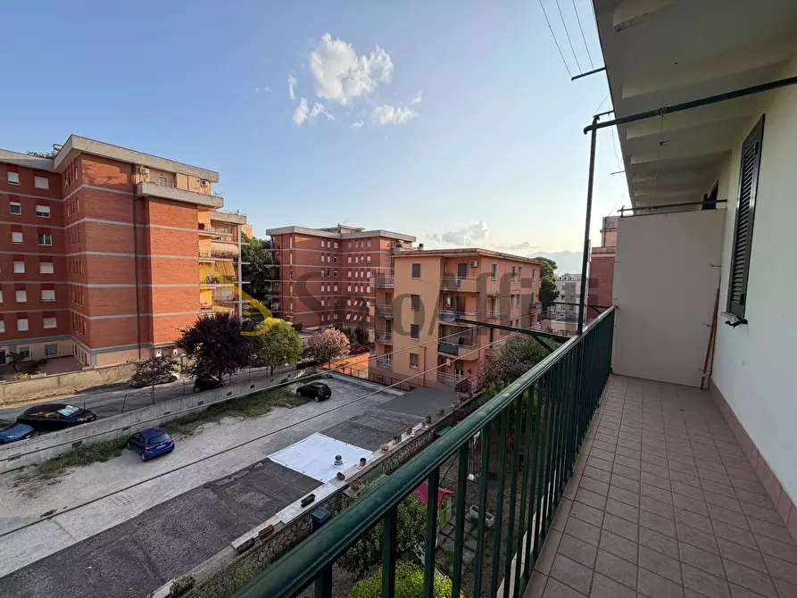 Immagine 16 di Trilocale in affitto  a Frosinone