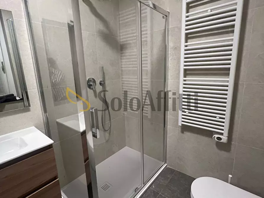 Immagine 9 di Bilocale in affitto  a Seregno