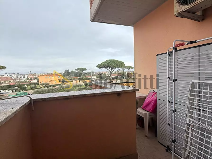 Immagine 9 di Bilocale in affitto  in via dante canducci a Nettuno