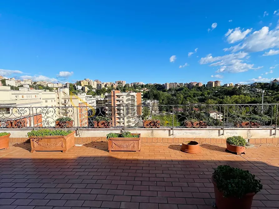 Immagine 31 di Attico in affitto  a Frosinone