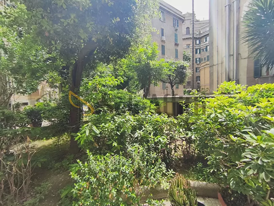 Immagine 34 di Bilocale in affitto  in Via Tommaso Campanella a Roma