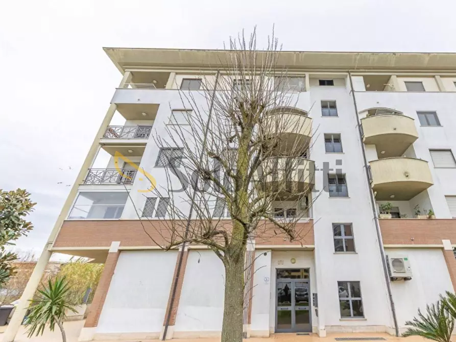 Immagine 18 di Trilocale in affitto  in Via Cannucciari a Nettuno