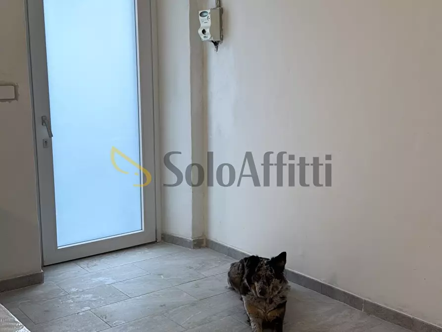 Immagine 17 di Trilocale in affitto  in Via Monte Rosa 18 a Torino