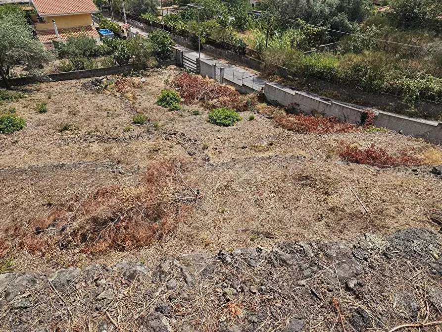 Immagine 5 di Terreno industriale in vendita  a Mascalucia