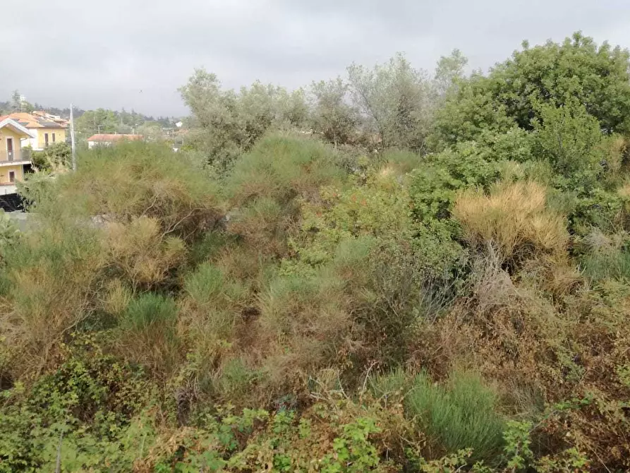 Immagine 4 di Terreno edificabile in vendita  a Mascalucia