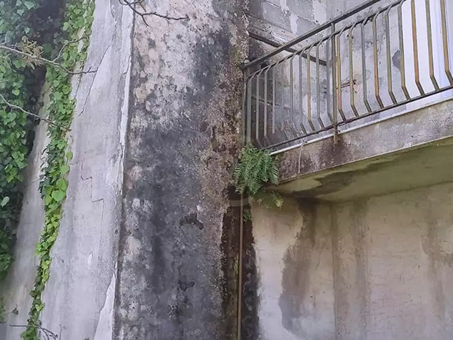 Immagine 5 di Villa in vendita  a Mascalucia