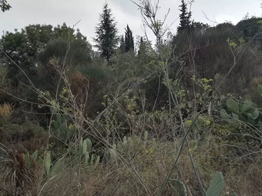 Immagine 3 di Terreno edificabile in vendita  a Mascalucia