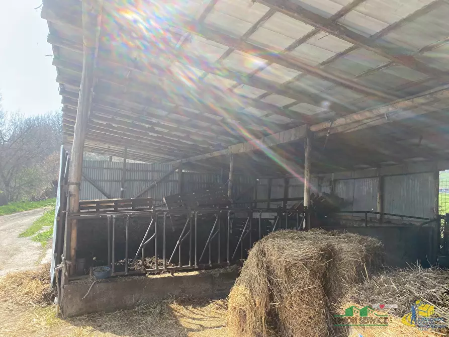 Immagine 11 di Terreno agricolo in vendita  in Miano a Medesano