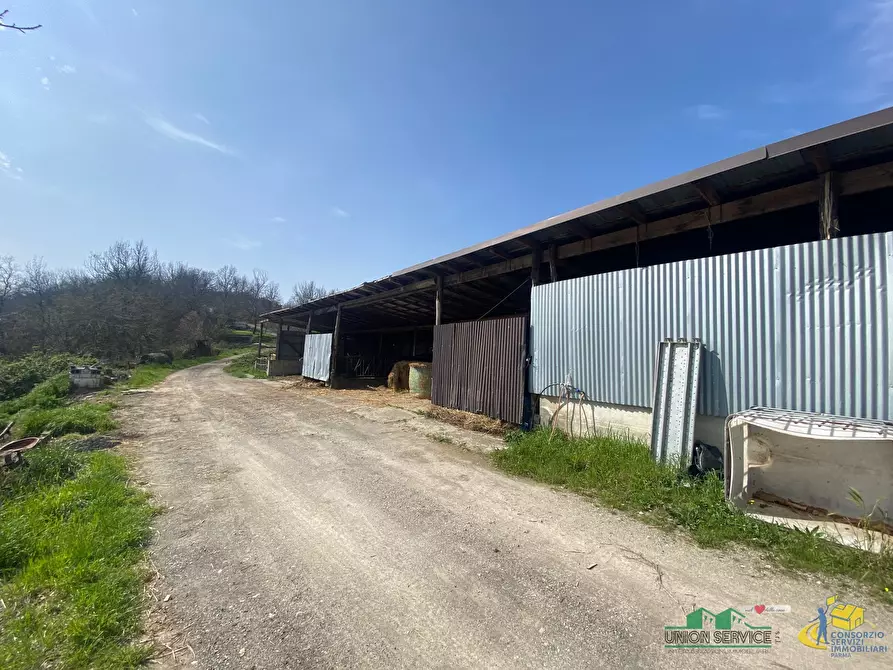 Immagine 10 di Terreno agricolo in vendita  in Miano a Medesano