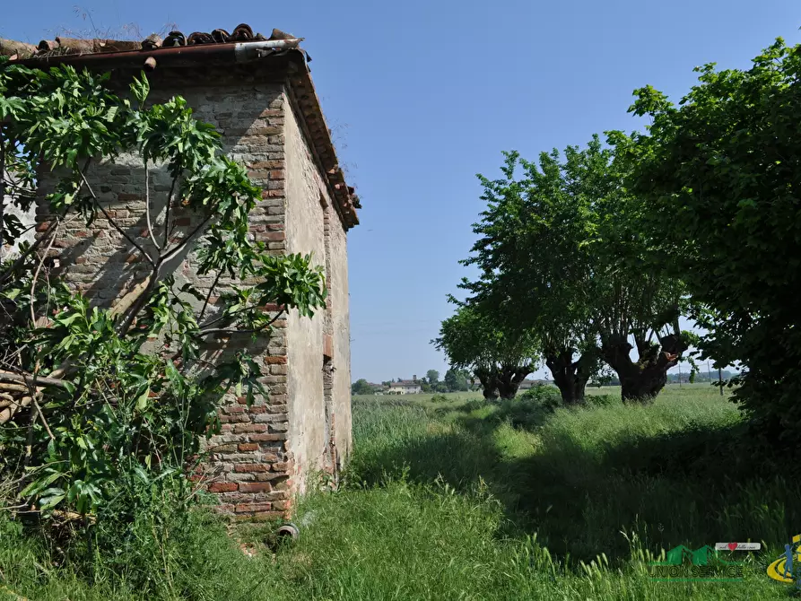 Immagine 14 di Rustico / casale in vendita  in Frazione Borgonovo 29 a Sissa Trecasali