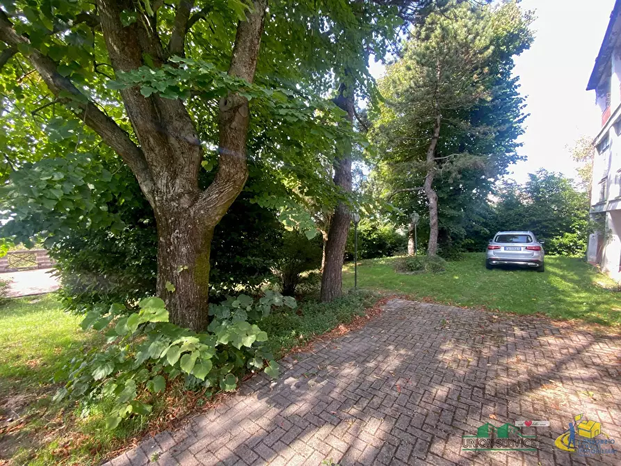 Immagine 7 di Casa indipendente in vendita  in via delle case vecchie 6 a Terenzo