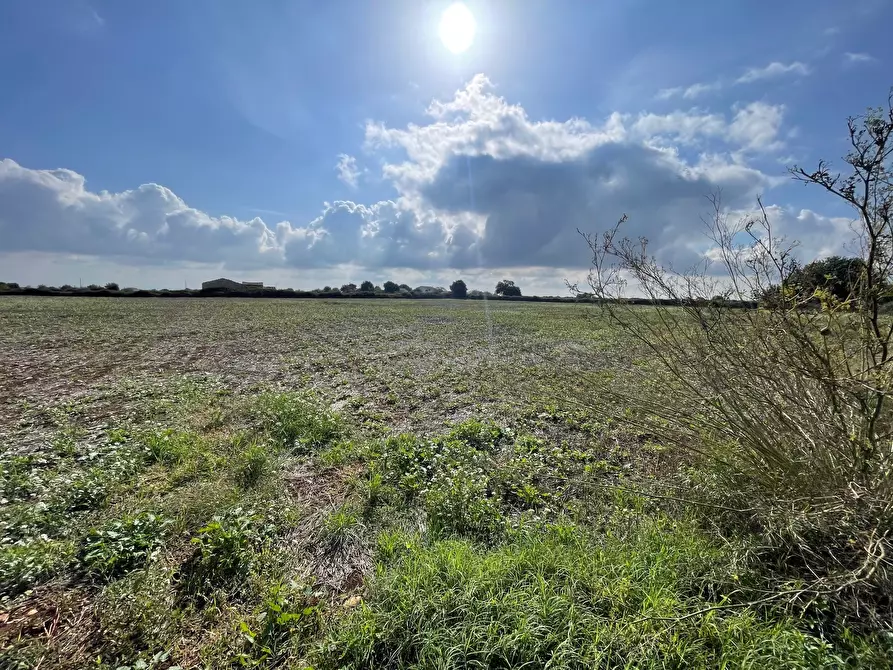 Immagine 2 di Terreno agricolo in vendita  in Via ciancia porta di ferro a Modica