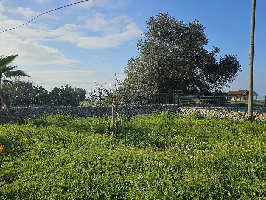 Immagine 21 di Casa indipendente in vendita  in Contrada Cozzo Rao sn a Scicli