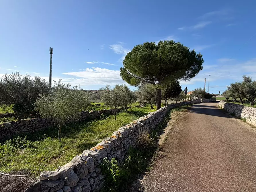 Immagine 6 di Villa in vendita  in Via Vanella 91 a Modica