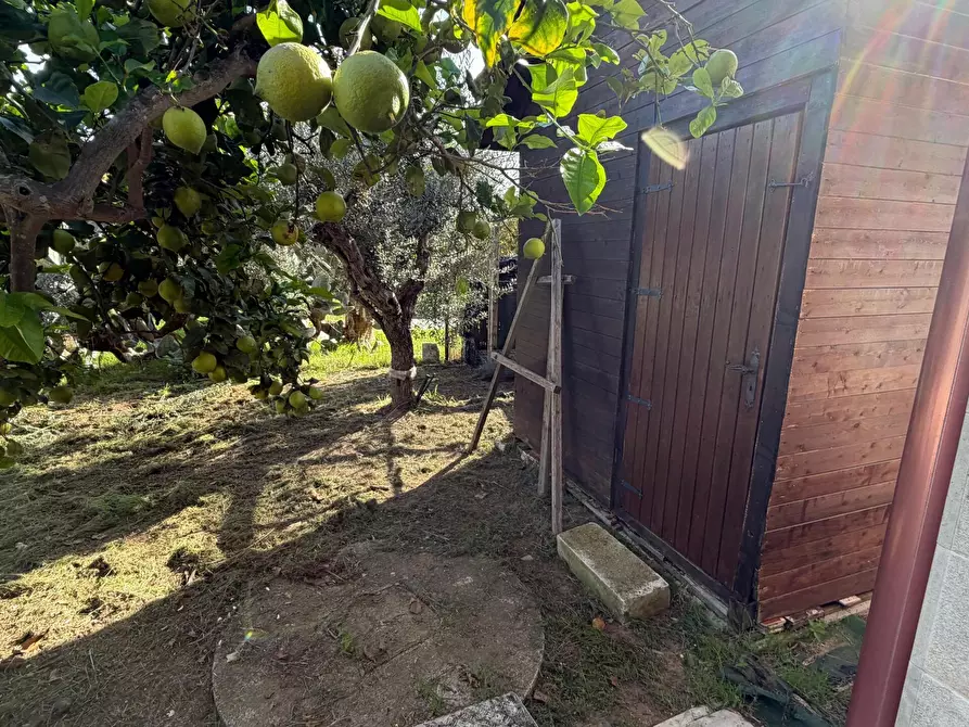 Immagine 19 di Villa in vendita  in Via del Giglio a Ispica