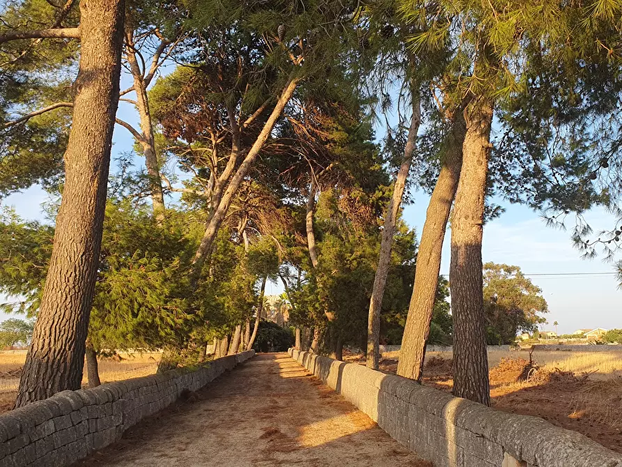 Immagine 8 di Villa in vendita  a Modica