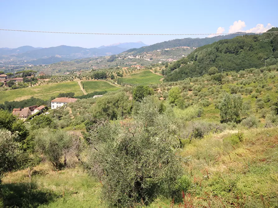 Immagine 29 di Rustico / casale in vendita  a Lucca