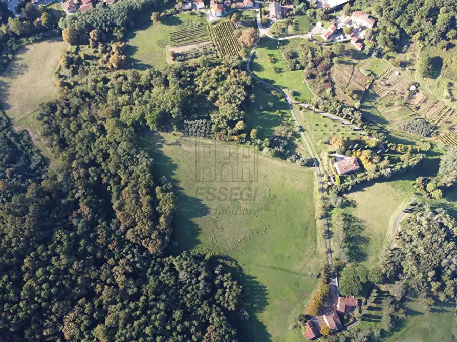 Immagine 6 di Azienda agricola in vendita  in Via Tofori a Capannori