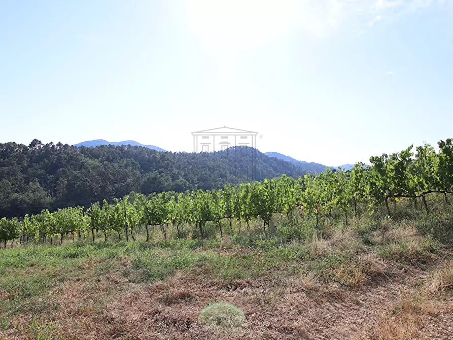 Immagine 12 di Rustico / casale in vendita  in Via del Francia 95 a Lucca