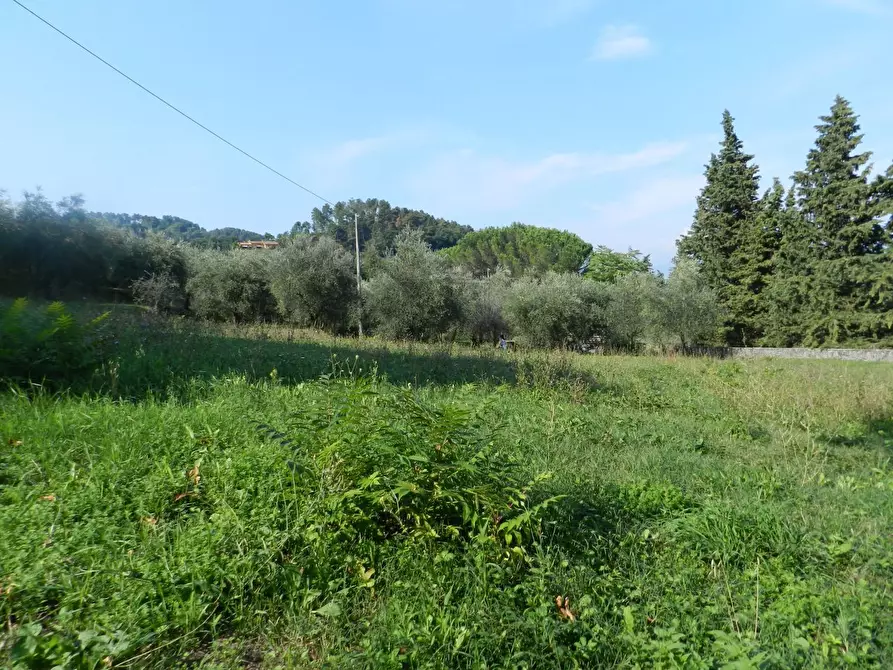 Immagine 16 di Rustico / casale in vendita  in Via di Villa Gaia 508 a Lucca