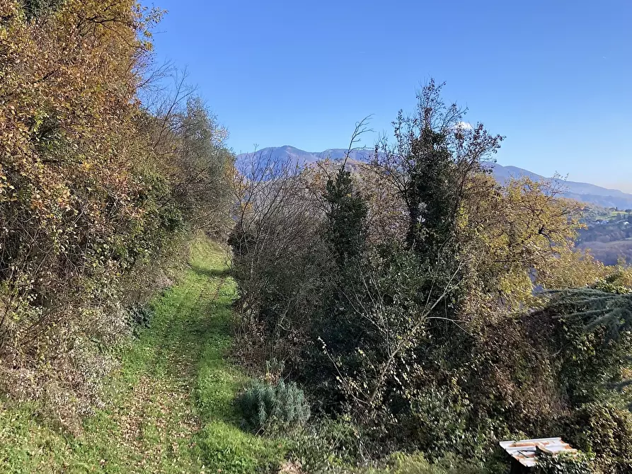 Immagine 11 di Rustico / casale in vendita  in via del brennero 1950 a Lucca