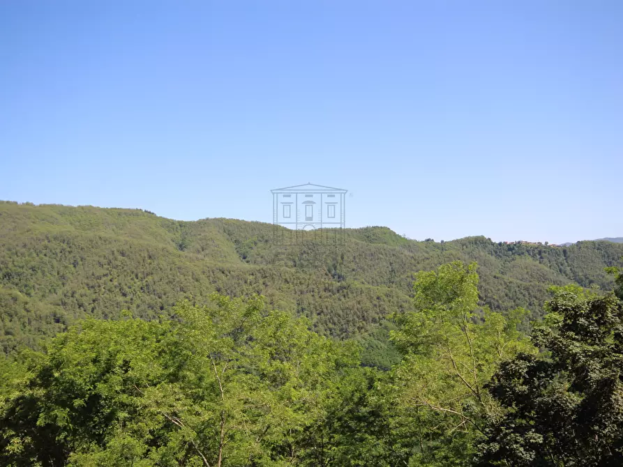 Immagine 14 di Villa in vendita  in SP38 22 a Coreglia Antelminelli