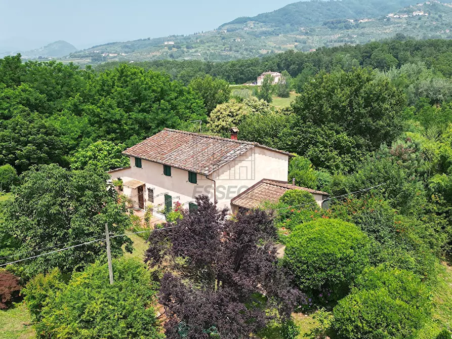 Immagine 6 di Rustico / casale in vendita  in Via del Parco 9B a Capannori