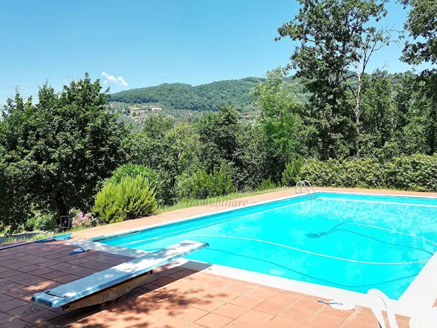 Immagine 3 di Villa in vendita  in Via dei Borelli a Lucca