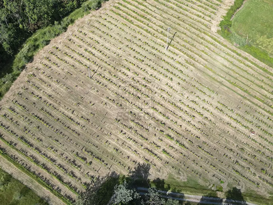 Immagine 5 di Rustico / casale in vendita  in Via della Chiesa XXXI 536 a Lucca