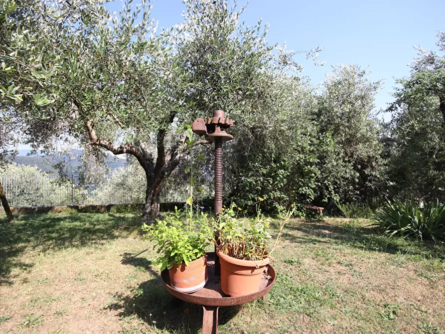 Immagine 5 di Rustico / casale in vendita  in Località Corso 1 a Pescaglia