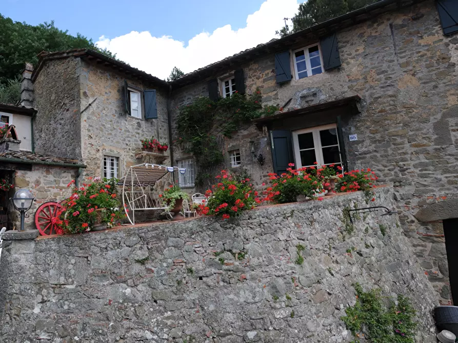 Immagine 39 di Rustico / casale in vendita  a Capannori