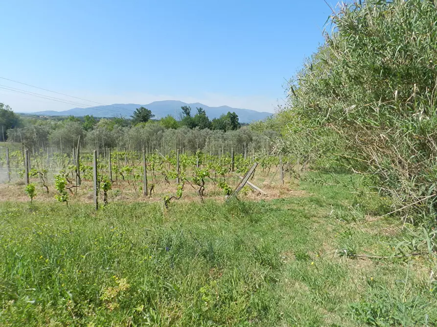 Immagine 22 di Rustico / casale in vendita  in Via del Marginone a Montecarlo