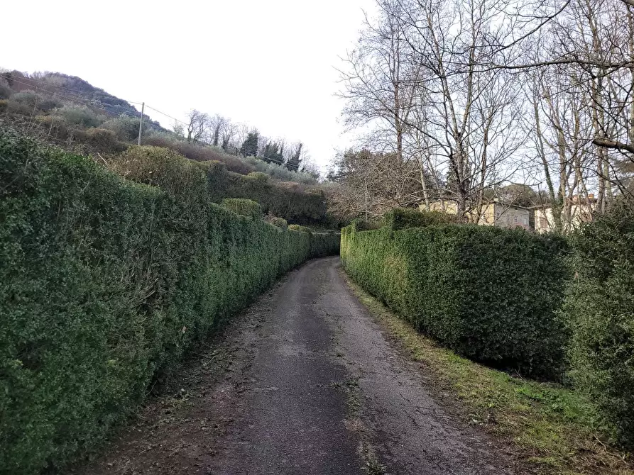 Immagine 16 di Villa in vendita  in via Colli 23 a Pescaglia