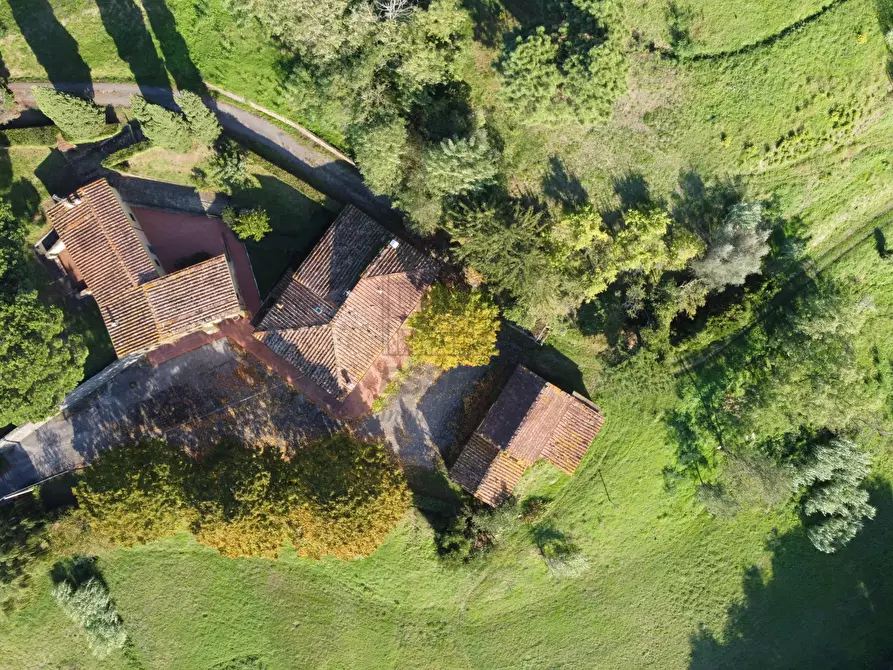 Immagine 3 di Rustico / casale in vendita  in Via Tofori a Capannori