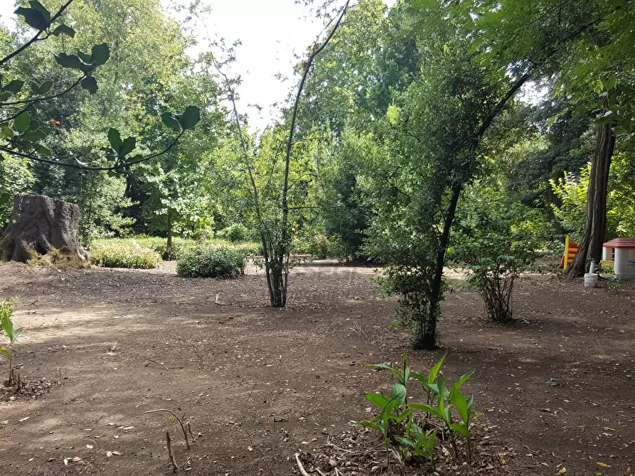 Immagine 18 di Villa in vendita  a Lucca