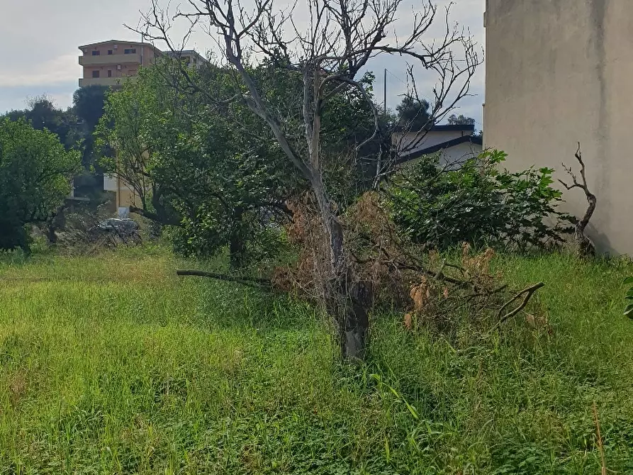 Immagine 1 di Terreno industriale in vendita  in Via Croce Valanidi 1a a Reggio Di Calabria