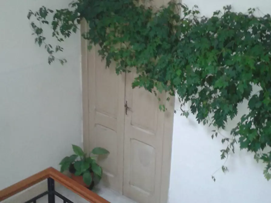 Immagine 8 di Trilocale in affitto  in Via Sbarre Centrali 677 a Reggio Di Calabria